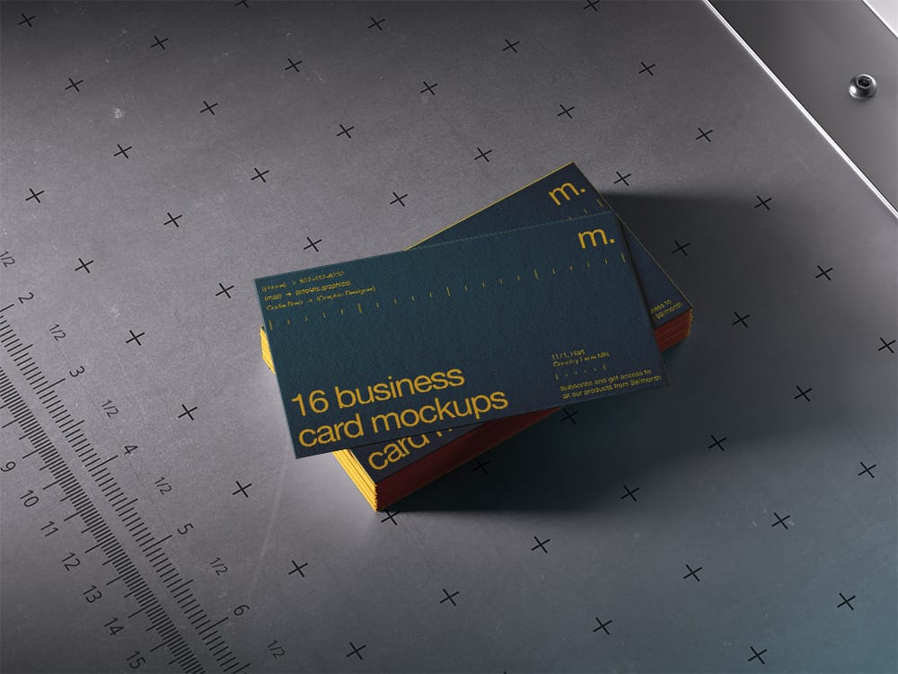 los-coyoes_4 los-coyoes_4